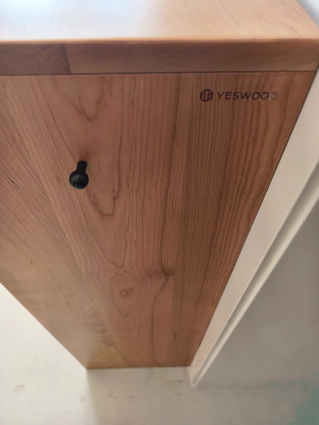 Time Capsule Shoe Cabinet YESWOOD