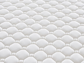 Y81 Knitted Fabric Bonnell Spring with Coir Fibre Mattress