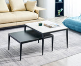 FS-E834 Coffee Table