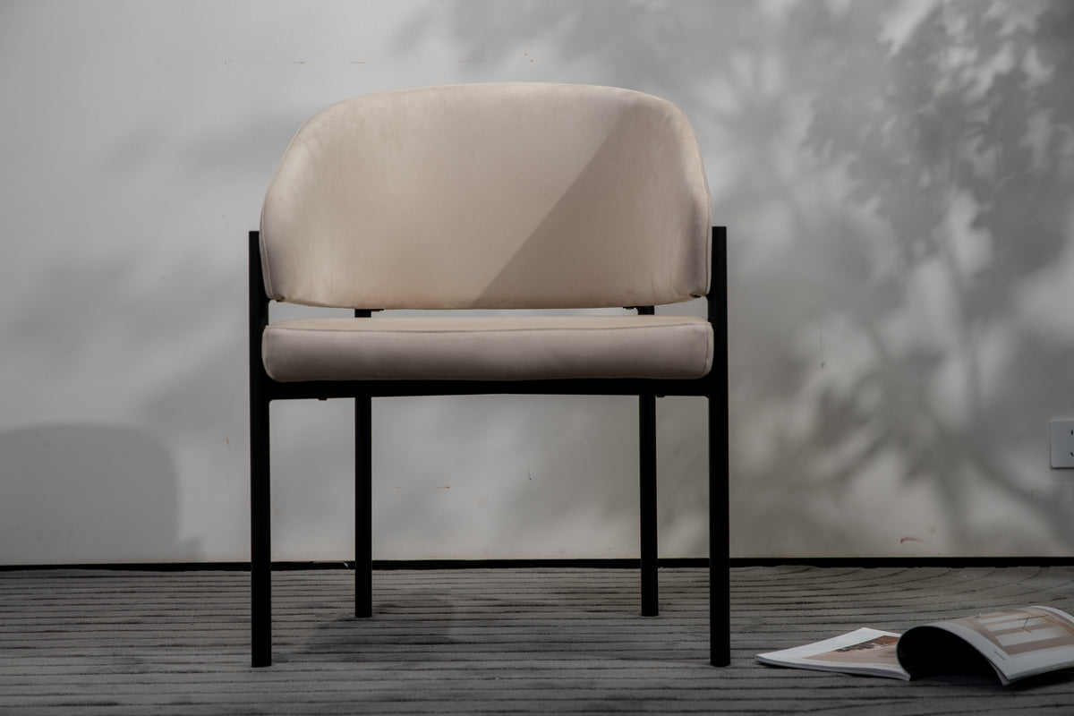 FS-DC 27 Dining Chair