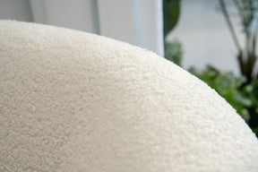Lounge Chair FS-CL001